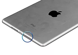 Замена полифонического динамика Apple iPad Air 2