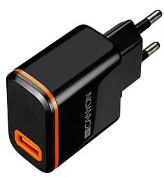 Сетевое зарядное устройство Canyon 2.1a home charger + USB-C cable black (CNE-CHA042BO)